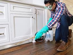 Best Pest Control for Multi-Family Homes  in Clifton, AZ