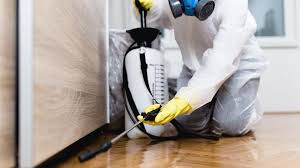 Best Pest Prevention Services  in Clifton, AZ