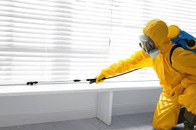 Best Real Estate Pest Inspections  in Clifton, AZ